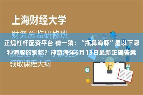 正规杠杆配资平台 猜一猜：“瓶鼻海豚”是以下哪种海豚的别称？神奇海洋6月13日最新正确答案