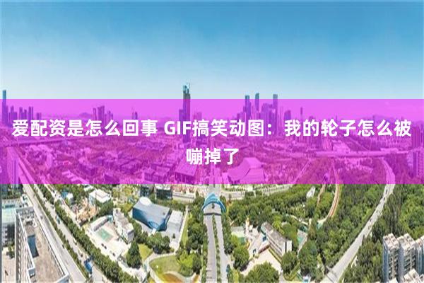 爱配资是怎么回事 GIF搞笑动图：我的轮子怎么被嘣掉了