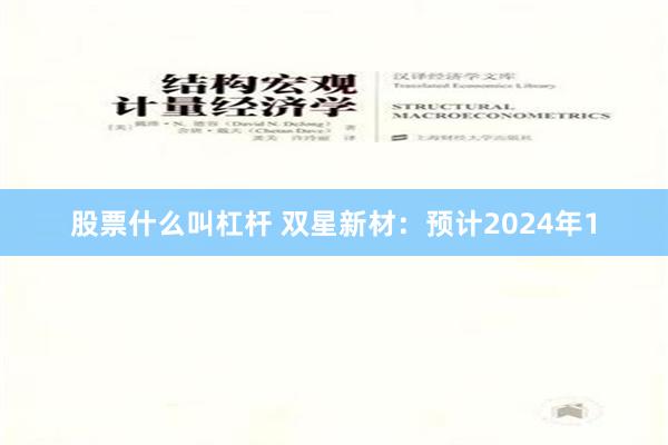 股票什么叫杠杆 双星新材：预计2024年1