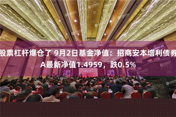 股票杠杆爆仓了 9月2日基金净值：招商安本增利债券A最新净值1.4959，跌0.5%