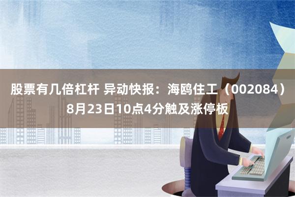 股票有几倍杠杆 异动快报：海鸥住工（002084）8月23日10点4分触及涨停板