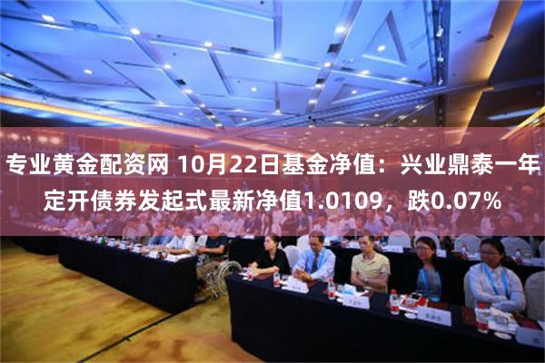 专业黄金配资网 10月22日基金净值：兴业鼎泰一年定开债券发起式最新净值1.0109，跌0.07%