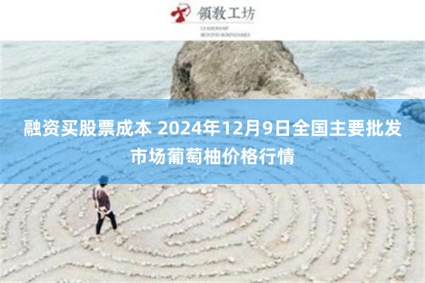 融资买股票成本 2024年12月9日全国主要批发市场葡萄柚价格行情