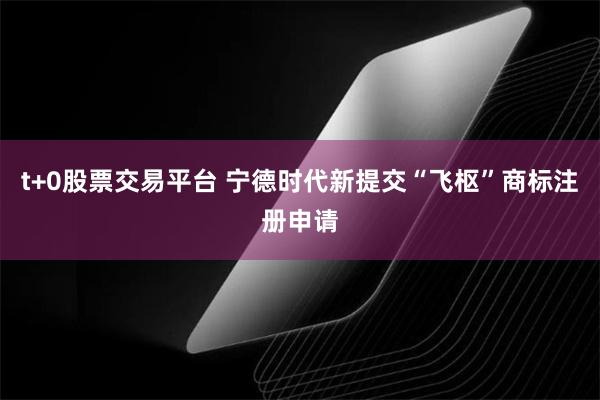 t+0股票交易平台 宁德时代新提交“飞枢”商标注册申请