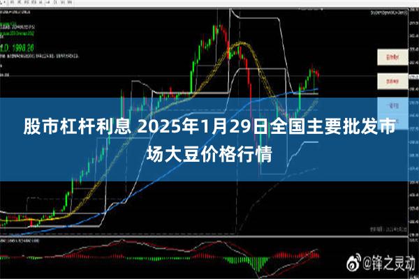 股市杠杆利息 2025年1月29日全国主要批发市场大豆价格行情